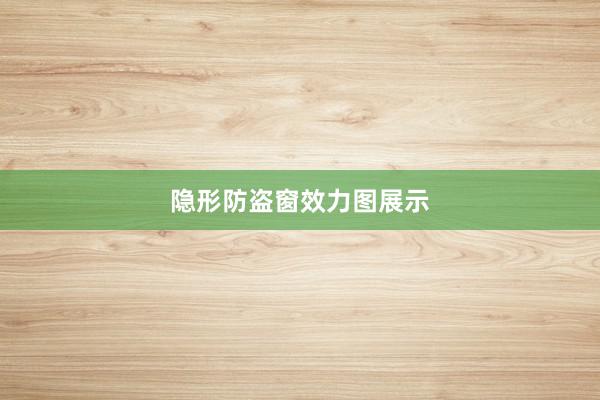 隐形防盗窗效力图展示